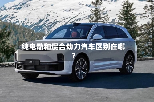 纯电动和混合动力汽车区别在哪?-第3张图片