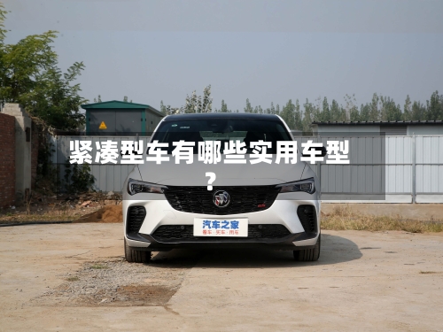 紧凑型车有哪些实用车型?-第2张图片