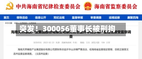 突发!300056董事长被刑拘-第2张图片