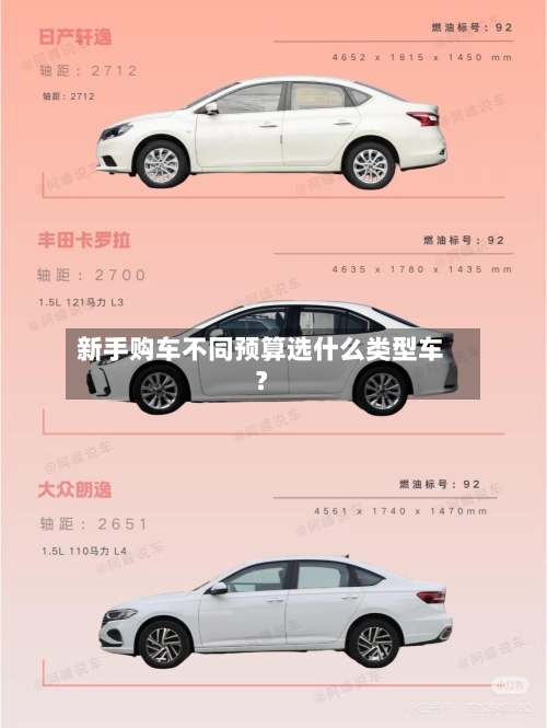 新手购车不同预算选什么类型车?-第2张图片