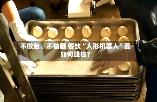 不做脸、不做腿 餐饮“人形机器人”要如何赚钱？-第3张图片