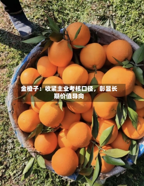 金橙子：收紧主业考核口径	，彰显长期价值导向-第3张图片