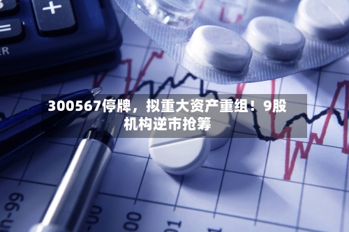 300567停牌，拟重大资产重组！9股机构逆市抢筹-第2张图片