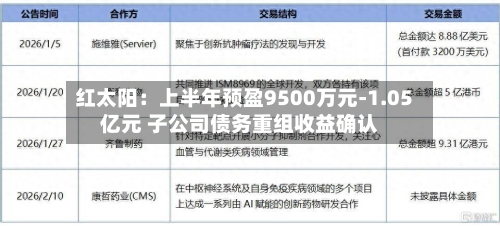 红太阳:上半年预盈9500万元-1.05亿元 子公司债务重组收益确认-第2张图片