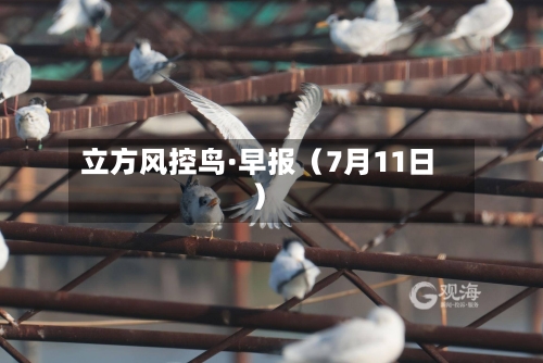 立方风控鸟·早报（7月11日）