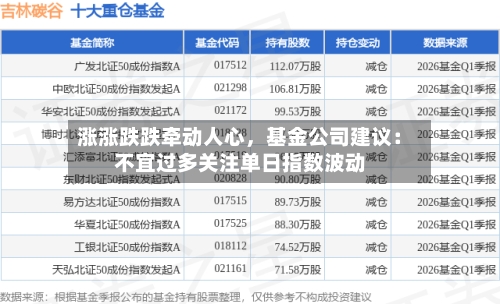 涨涨跌跌牵动人心，基金公司建议：不宜过多关注单日指数波动-第3张图片