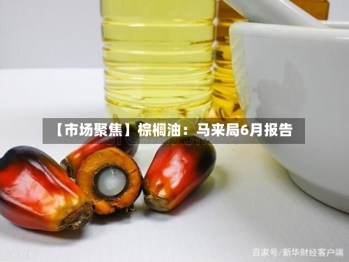 【市场聚焦】棕榈油:马来局6月报告-第2张图片