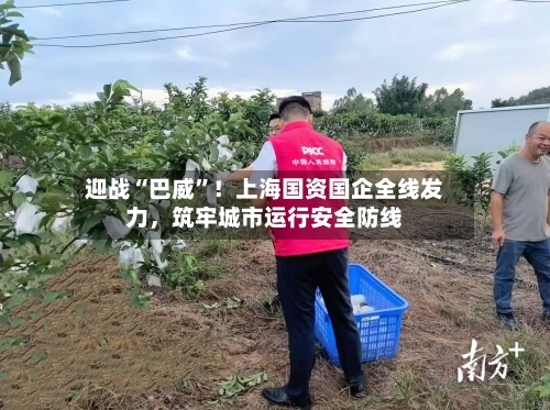 迎战“巴威”!上海国资国企全线发力,筑牢城市运行安全防线