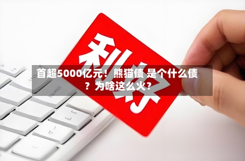 首超5000亿元！熊猫债 是个什么债？为啥这么火？