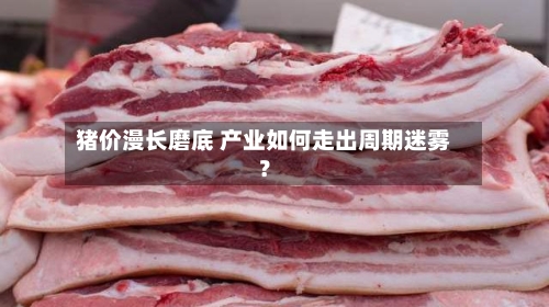 猪价漫长磨底 产业如何走出周期迷雾？