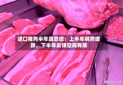 进口猪肉半年度总结：上半年弱势缓跌	，下半年反弹空间有限-第3张图片