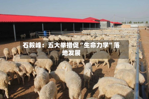 石毅峰:五大举措促“生命力学”落地发展