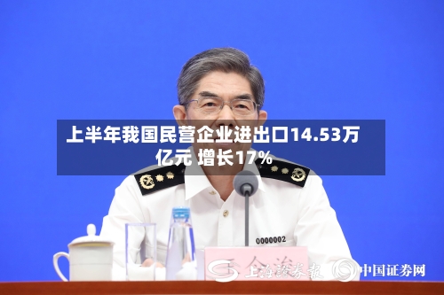 上半年我国民营企业进出口14.53万亿元 增长17%