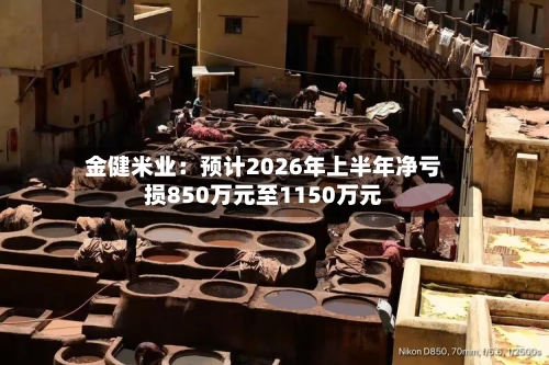 金健米业：预计2026年上半年净亏损850万元至1150万元-第3张图片