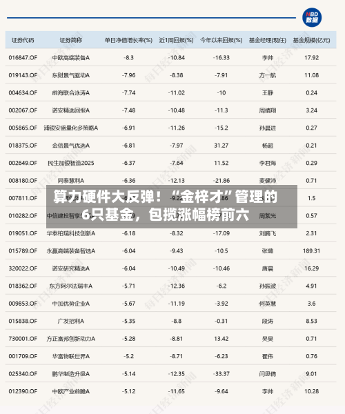 算力硬件大反弹！“金梓才”管理的6只基金，包揽涨幅榜前六