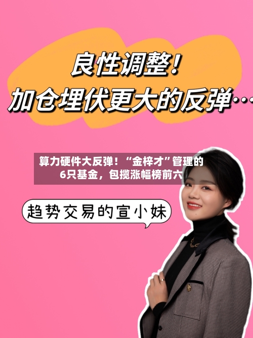 算力硬件大反弹！“金梓才	”管理的6只基金，包揽涨幅榜前六-第2张图片