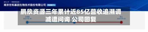 鹏欣资源三年累计近85亿营收追溯调减遭问询 公司回复-第2张图片