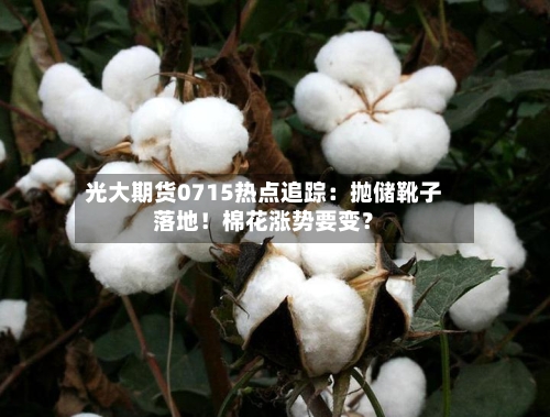 光大期货0715热点追踪：抛储靴子落地！棉花涨势要变？-第2张图片