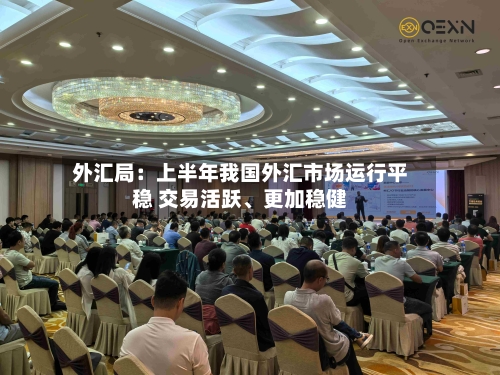 外汇局：上半年我国外汇市场运行平稳 交易活跃	、更加稳健-第3张图片