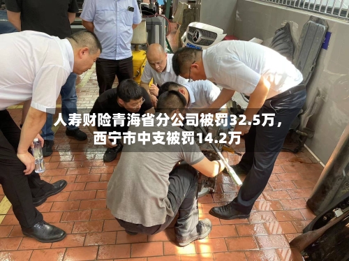 人寿财险青海省分公司被罚32.5万，西宁市中支被罚14.2万