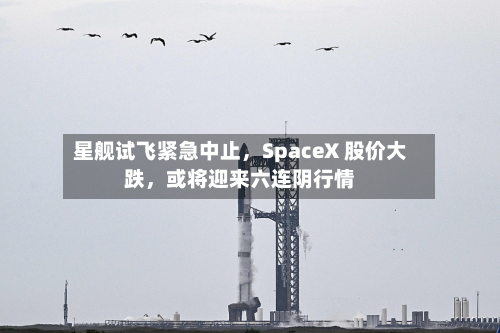 星舰试飞紧急中止，SpaceX 股价大跌，或将迎来六连阴行情-第3张图片
