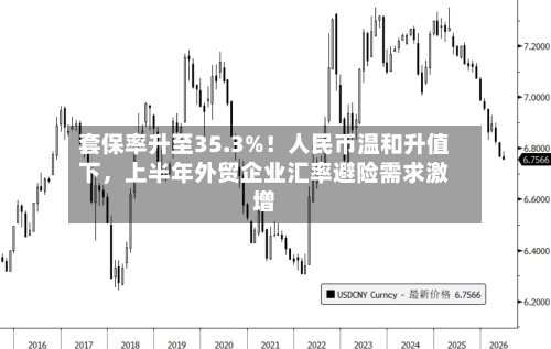 套保率升至35.3%！人民币温和升值下	，上半年外贸企业汇率避险需求激增-第3张图片