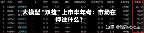 大模型“双雄”上市半年考：市场在押注什么？-第3张图片