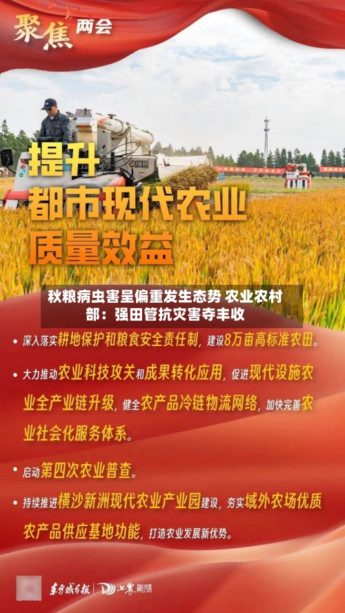 秋粮病虫害呈偏重发生态势 农业农村部:强田管抗灾害夺丰收-第3张图片