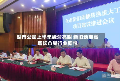 深市公司上半年经营亮眼 新旧动能高增长凸显行业韧性-第3张图片