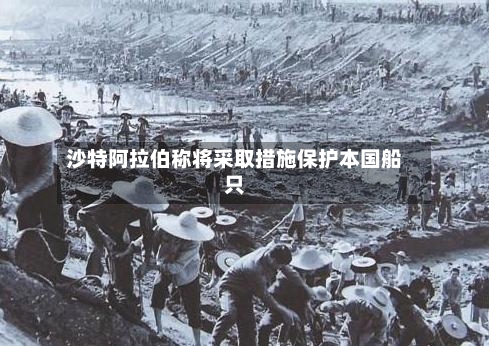 沙特阿拉伯称将采取措施保护本国船只-第2张图片