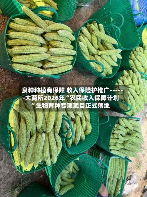 良种种植有保障 收入保险护推广------大商所2026年“农民收入保障计划	”生物育种专项项目正式落地-第1张图片