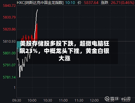 美股存储股多股下跌，超微电脑狂飙23%，中概龙头下挫，黄金白银大涨
