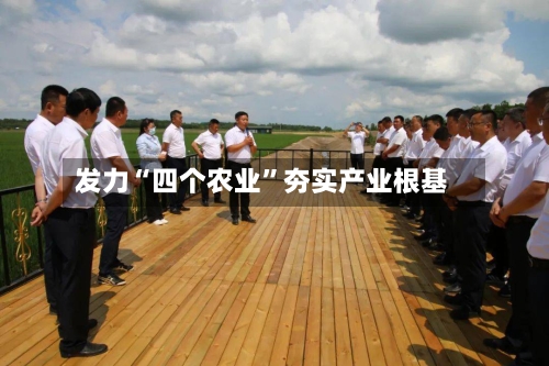 发力“四个农业”夯实产业根基-第2张图片