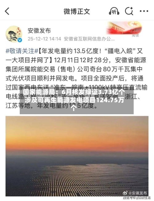 国家能源局:6月核发绿证3.73亿个 涉及可再生能源发电项目124.75万个