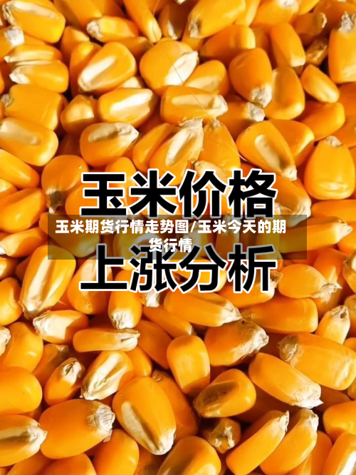 玉米期货行情走势图/玉米今天的期货行情