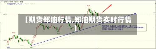 【期货郑油行情,郑油期货实时行情】-第2张图片