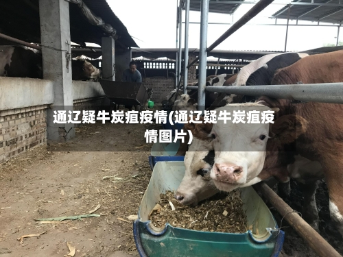 通辽疑牛炭疽疫情(通辽疑牛炭疽疫情图片)-第3张图片