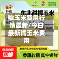 糯玉米费用行情最新/今日最新糯玉米费用-第2张图片