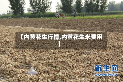 【内黄花生行情,内黄花生米费用】