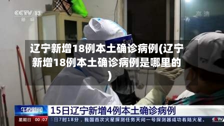 辽宁新增18例本土确诊病例(辽宁新增18例本土确诊病例是哪里的)-第2张图片