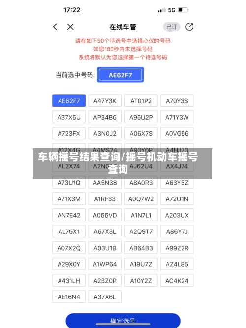 车辆摇号结果查询/摇号机动车摇号查询