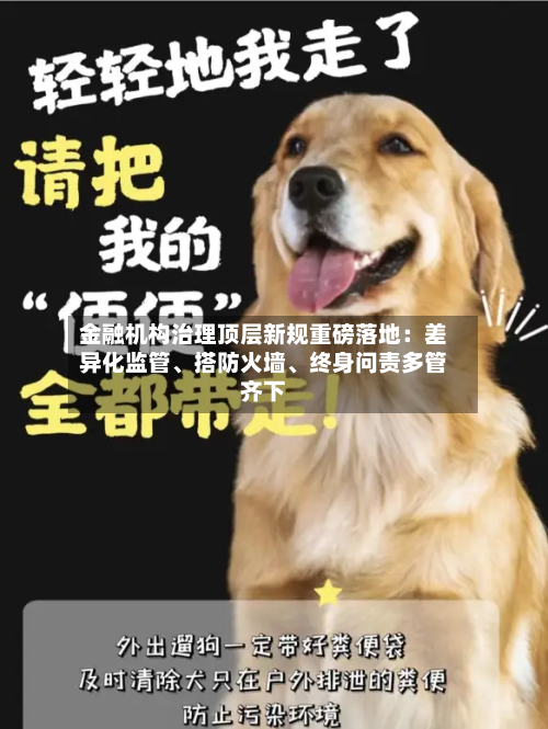金融机构治理顶层新规重磅落地：差异化监管、搭防火墙	、终身问责多管齐下-第2张图片