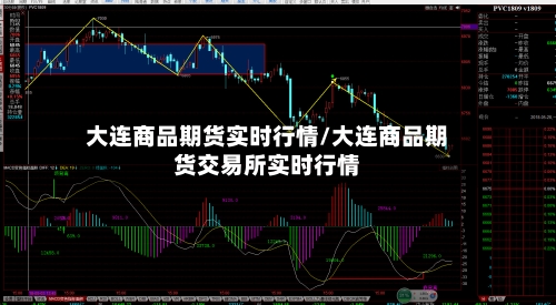 大连商品期货实时行情/大连商品期货交易所实时行情-第2张图片