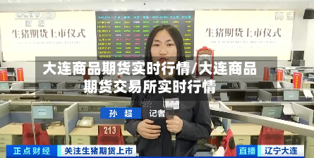大连商品期货实时行情/大连商品期货交易所实时行情-第3张图片