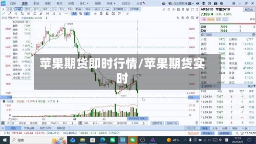 苹果期货即时行情/苹果期货实时