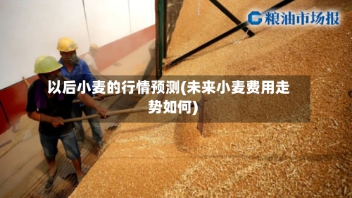 以后小麦的行情预测(未来小麦费用走势如何)