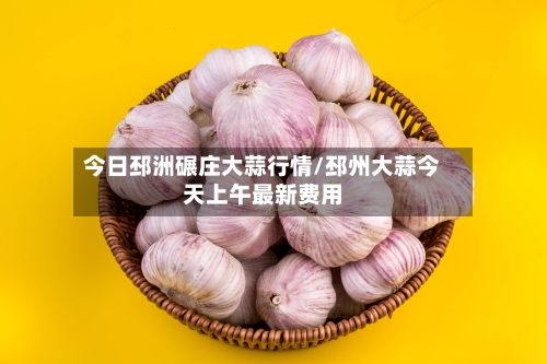 今日邳洲碾庄大蒜行情/邳州大蒜今天上午最新费用
