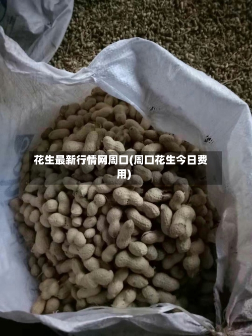 花生最新行情网周口(周口花生今日费用)-第2张图片