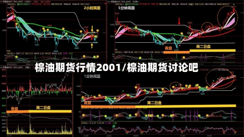 棕油期货行情2001/棕油期货讨论吧
