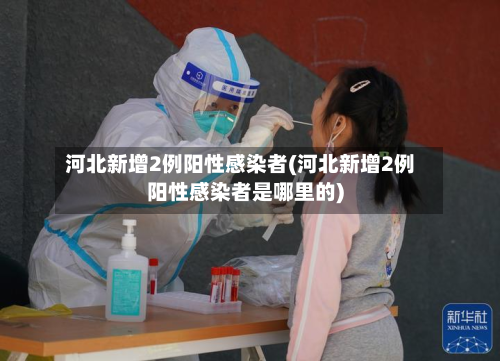 河北新增2例阳性感染者(河北新增2例阳性感染者是哪里的)-第2张图片